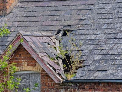 Professional storm damage restoration services in Fremont - water damage restoration service